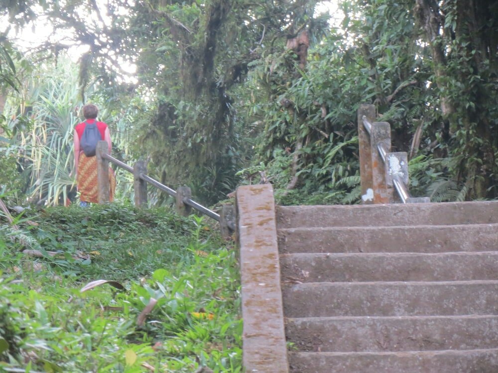 Фото Amed Sari Beach Guesthouse