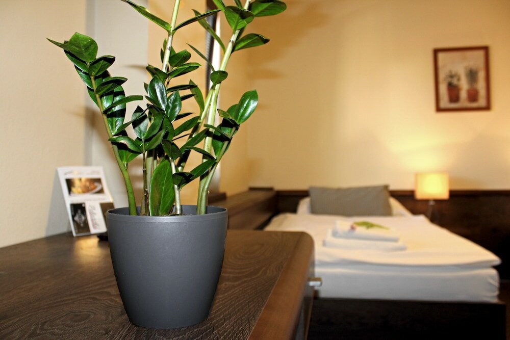 Фото Penzión & Wellness Zoborská