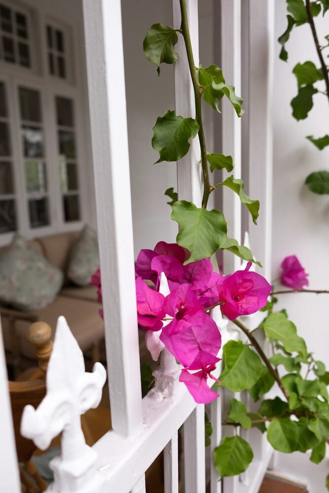 Фото 5 Camp Street Guesthouse & Self-catering