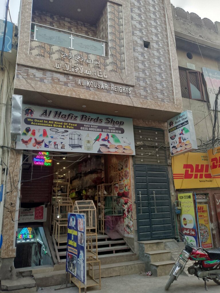 Pet shop Al Hafiz birds shop, Lahore, photo