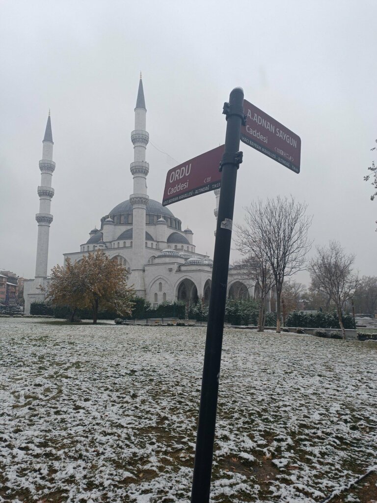 Mukhtarlyk Anafartalar Neighborhood Headman's Office, , foto