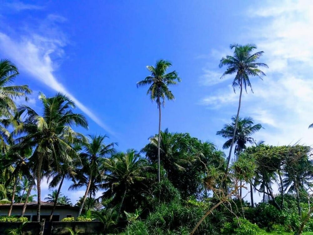 Фото Malika Yellow House