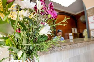 Гостиница Hotel Acapulco