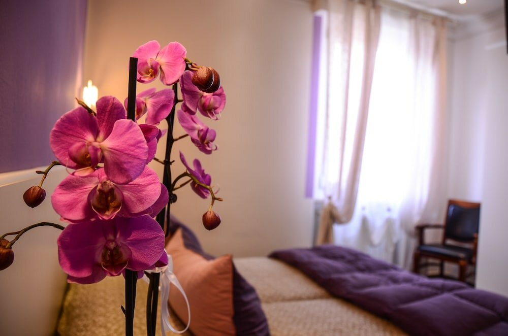 Фото Il Piccolo Piacenza