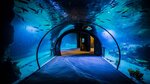 Funtastic Aquariums (İzmir, Bayraklı, R.Şevket İnce Mah., 2148/9 Sok., 4) ، حوض السمك