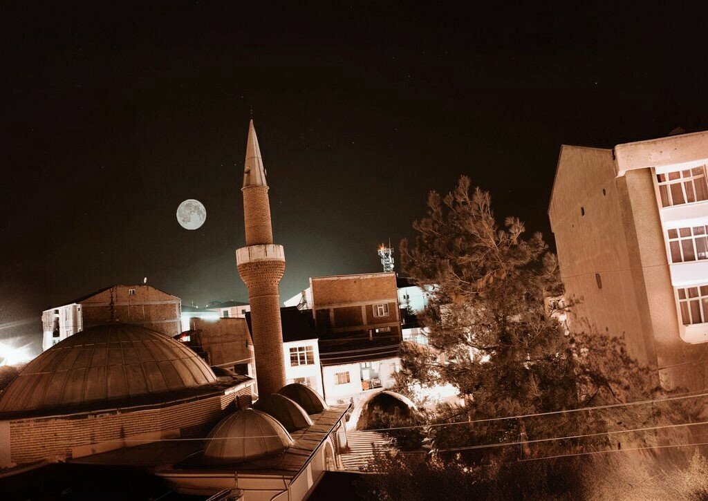 Mosque Alemoglu Mosque, Turhal, photo