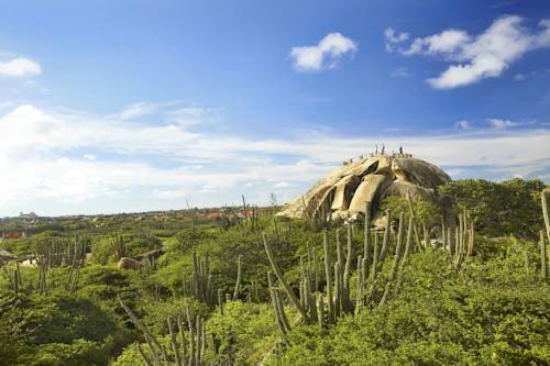Фото Holiday Inn Resort Aruba - Beach Resort & Casino, an Ihg Hotel