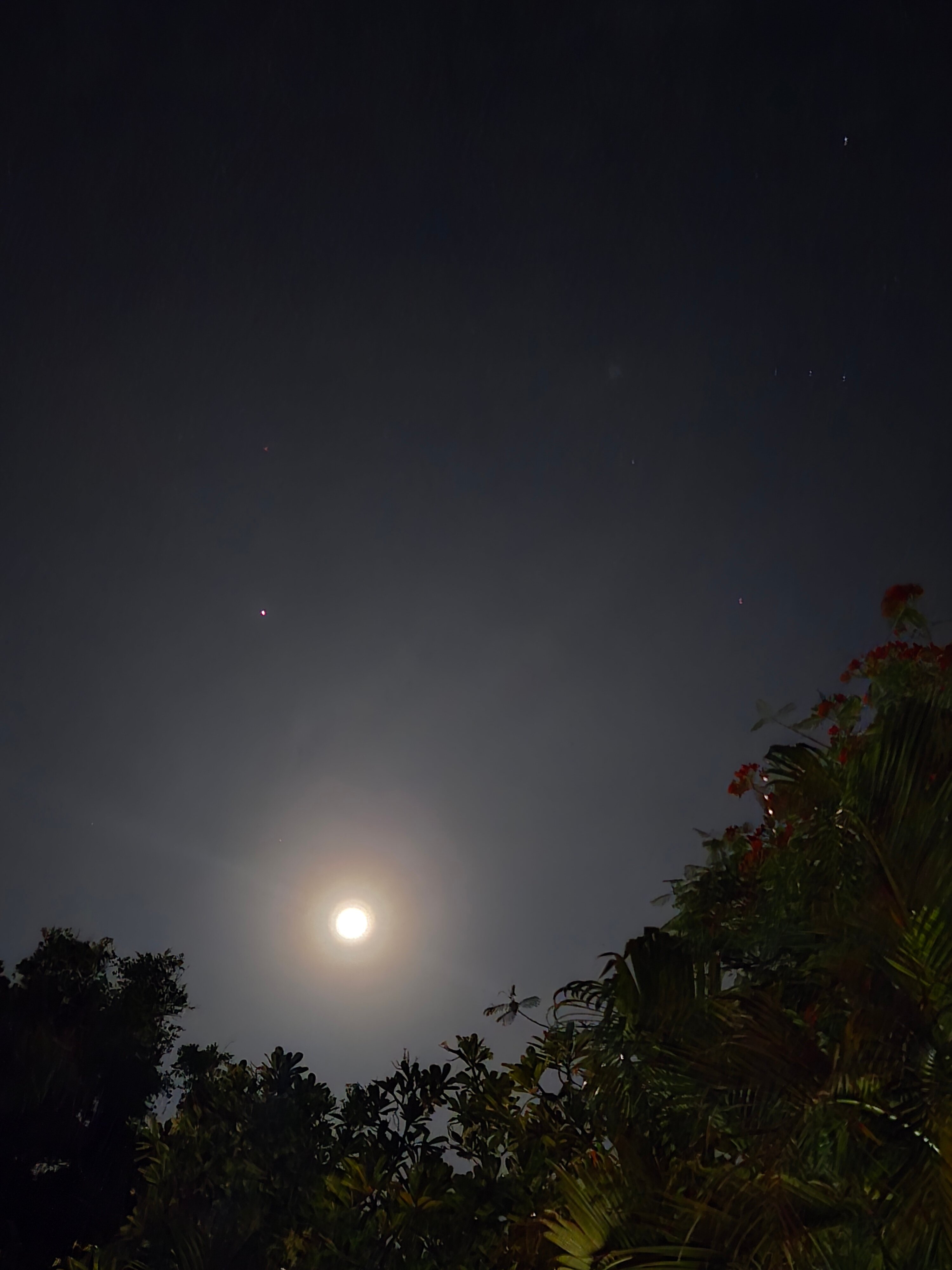 Фото Mercure Bali Resort Sanur