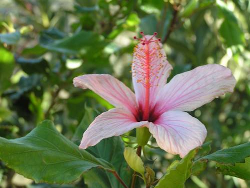 Фото Stratos Villas