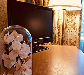 Фото Звездный