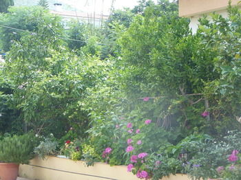 Фото Theano Hotel