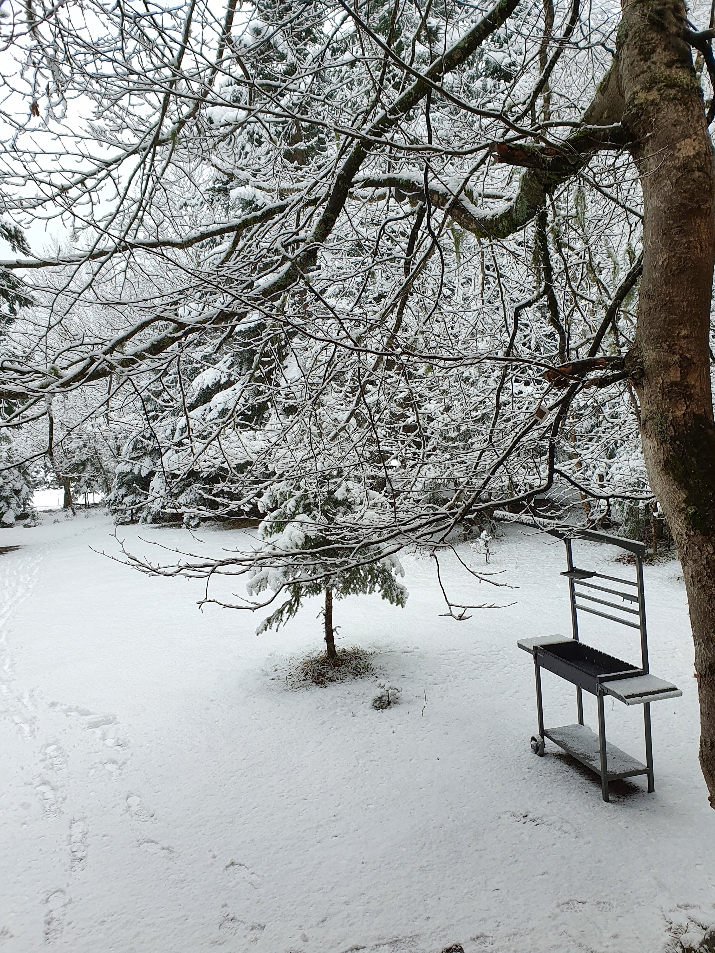 Фото Сияние Family Club