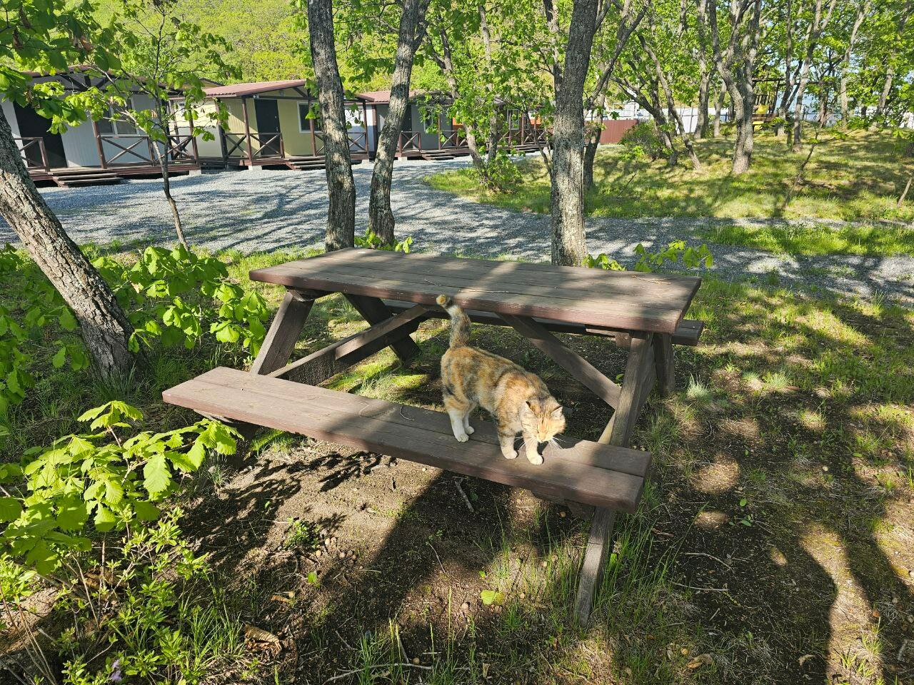 Фото Green Island