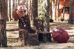 Аркадия (Белгородская область, Шебекинский муниципальный округ, рабочий посёлок Маслова Пристань), база, демалыс үйі  Белгород облысында