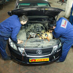 Фото 4 Алекс