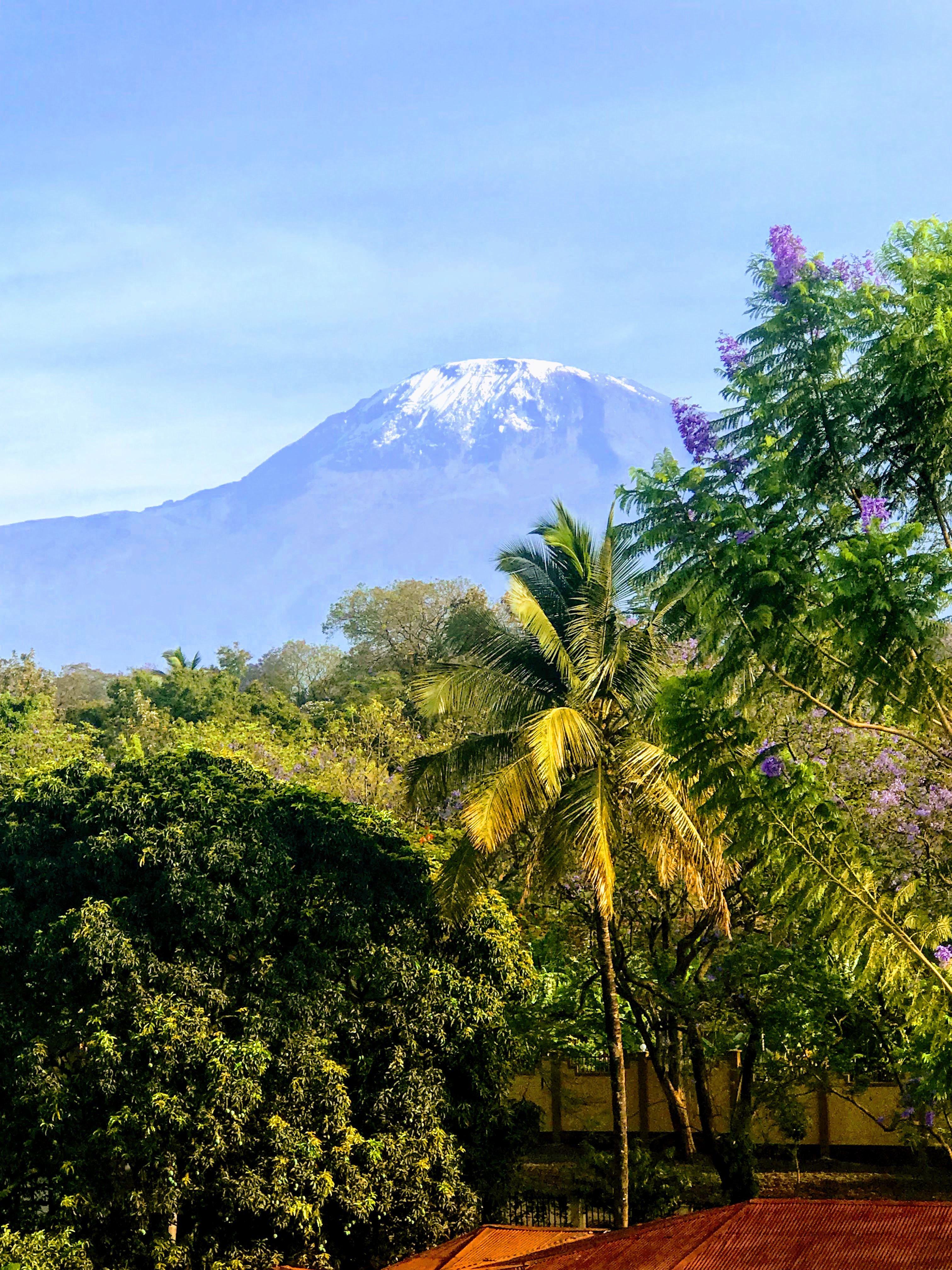Фото Kilimanjaro Wonders Hotel