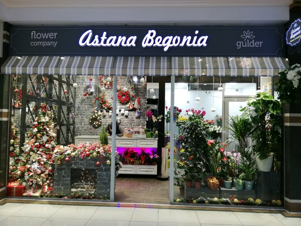 Flower shop Astana Begonia, Astana, photo