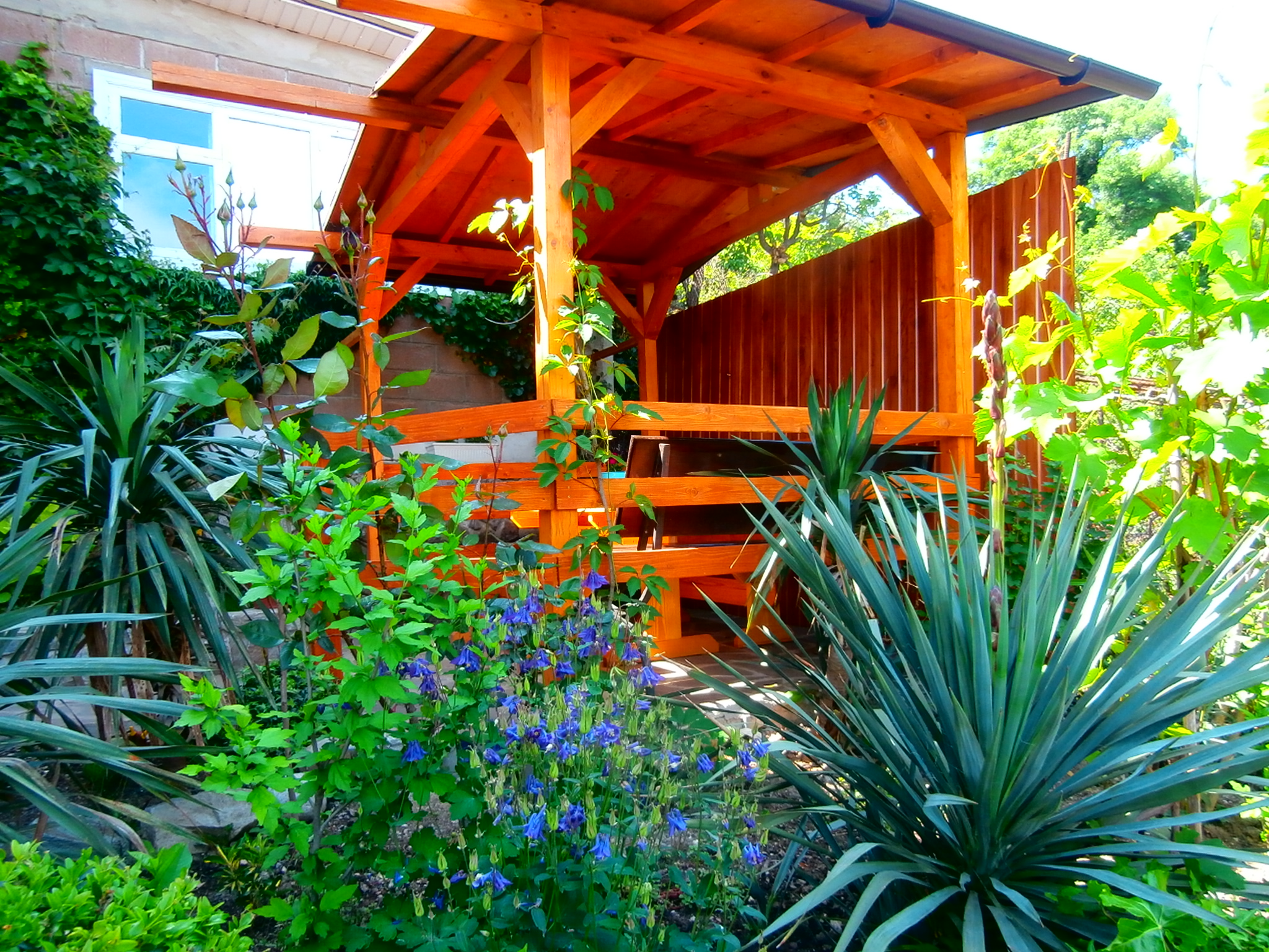 Фото Бархатный сад