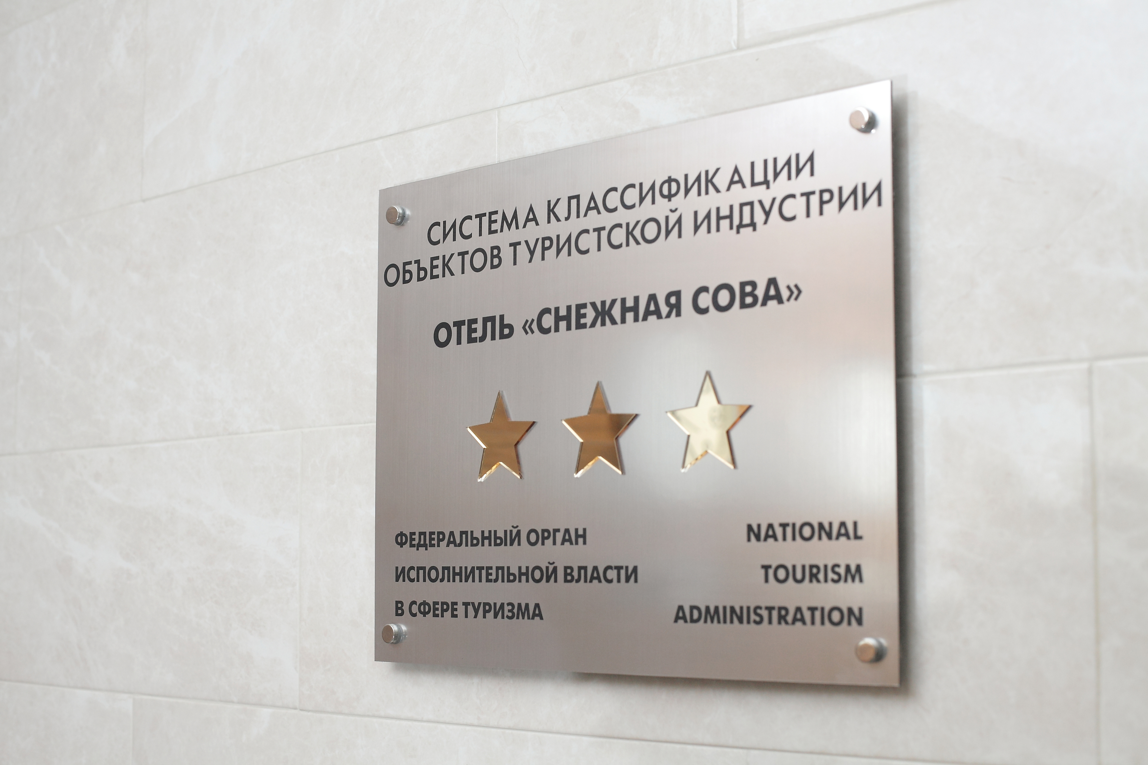 Фото Снежная сова