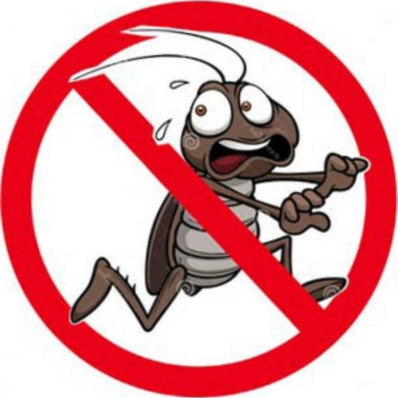 Служба дезинсекции