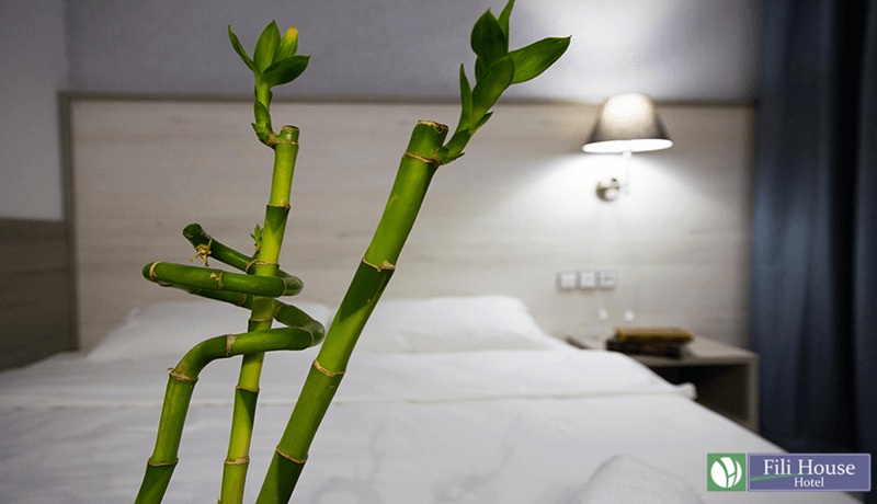 Фото Фили Хаус