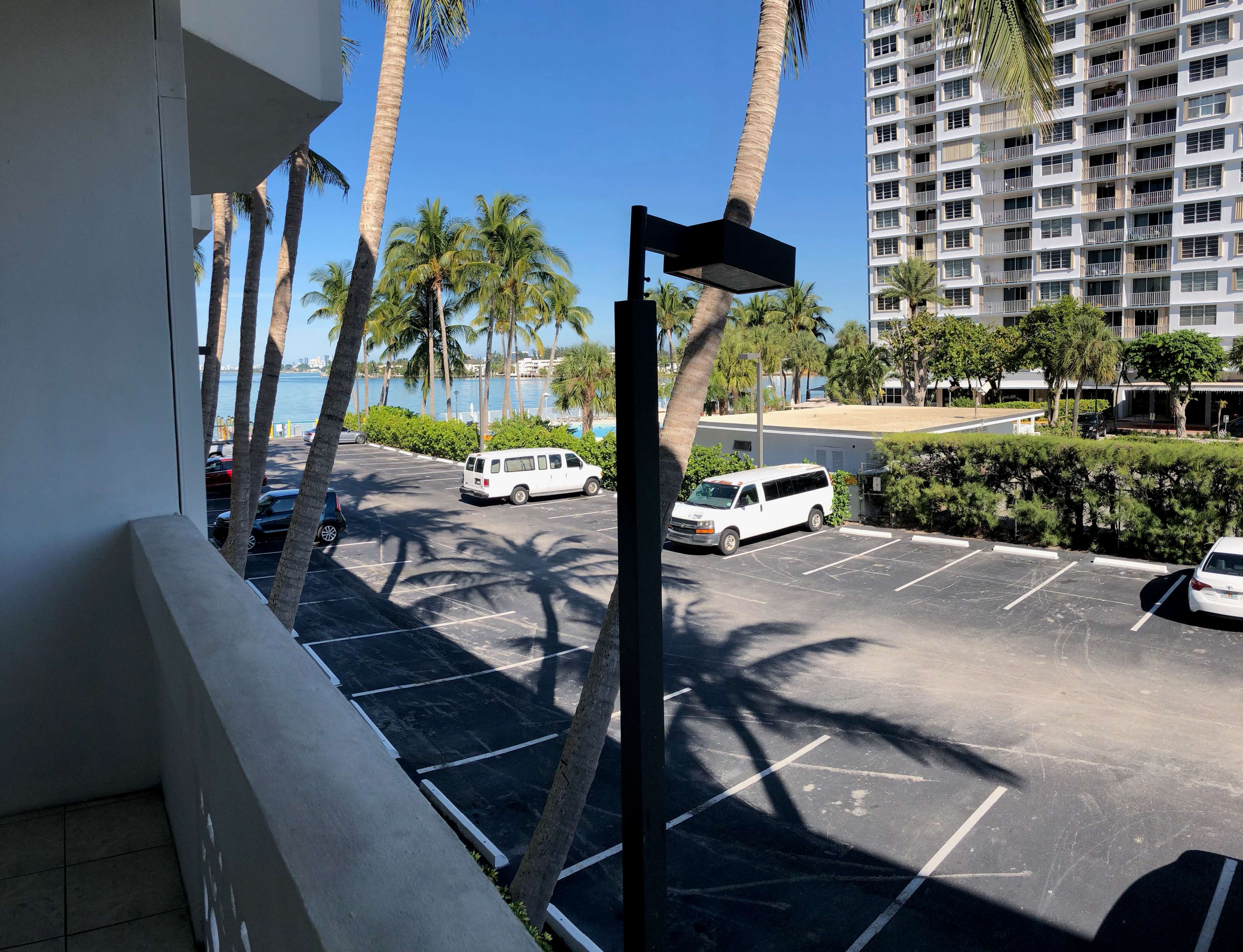 Фото Palm Tree Club Miami Hotel