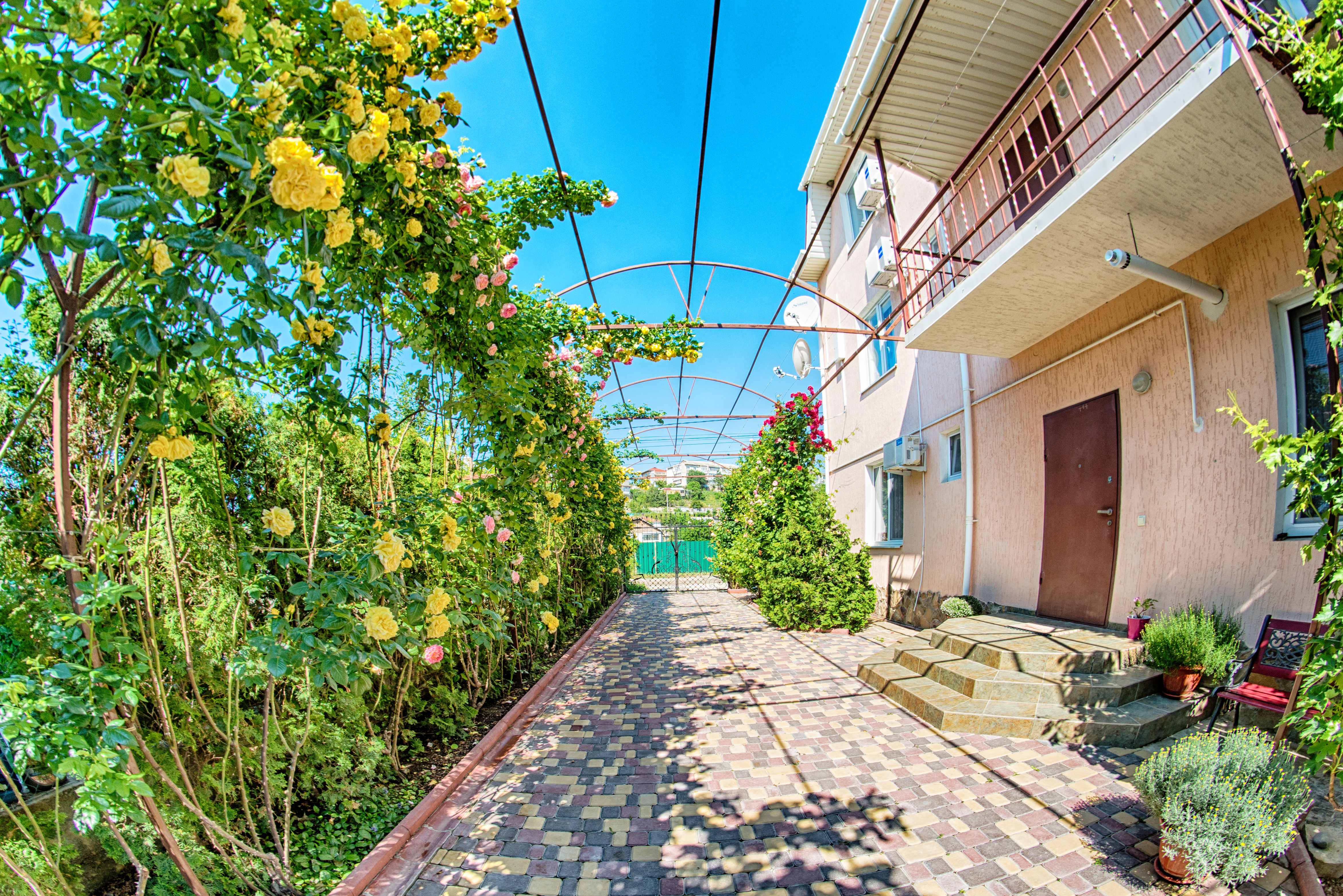 Фото Ассоль Судак