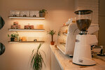 Coffeesutrà (11th Krasnoarmeyskaya Street, 11с3), coffee shop