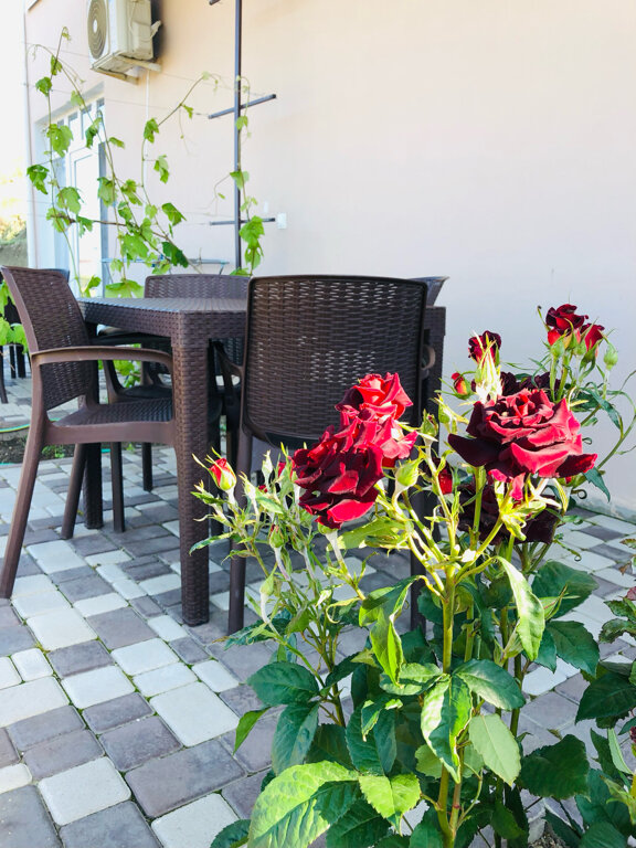 Фото Выше неба