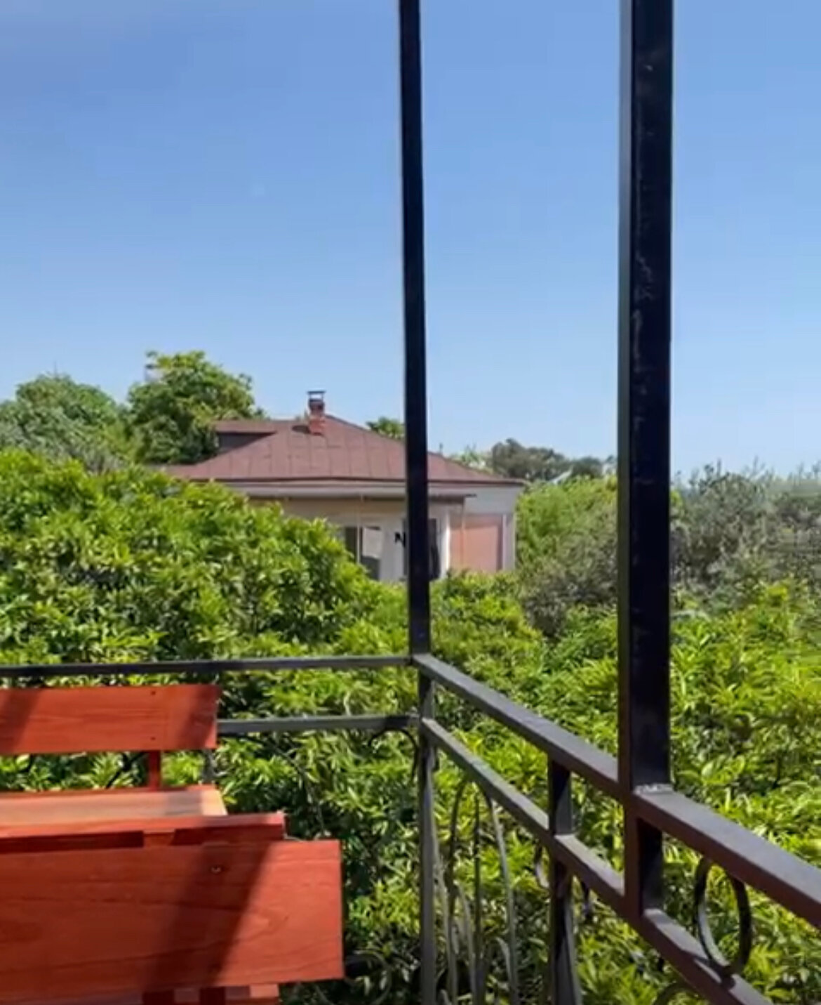 Фото Феникс