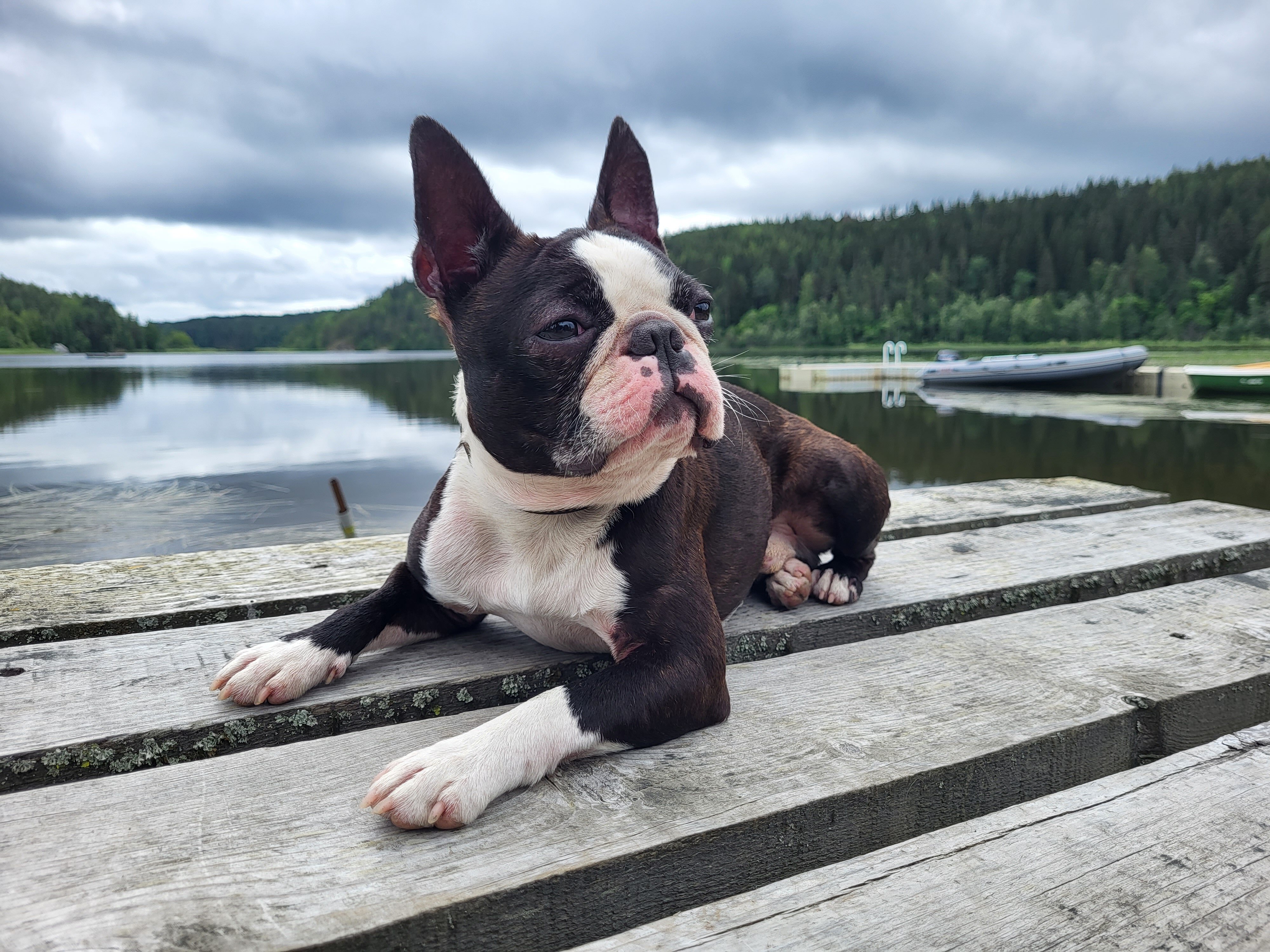 Фото Меклахти