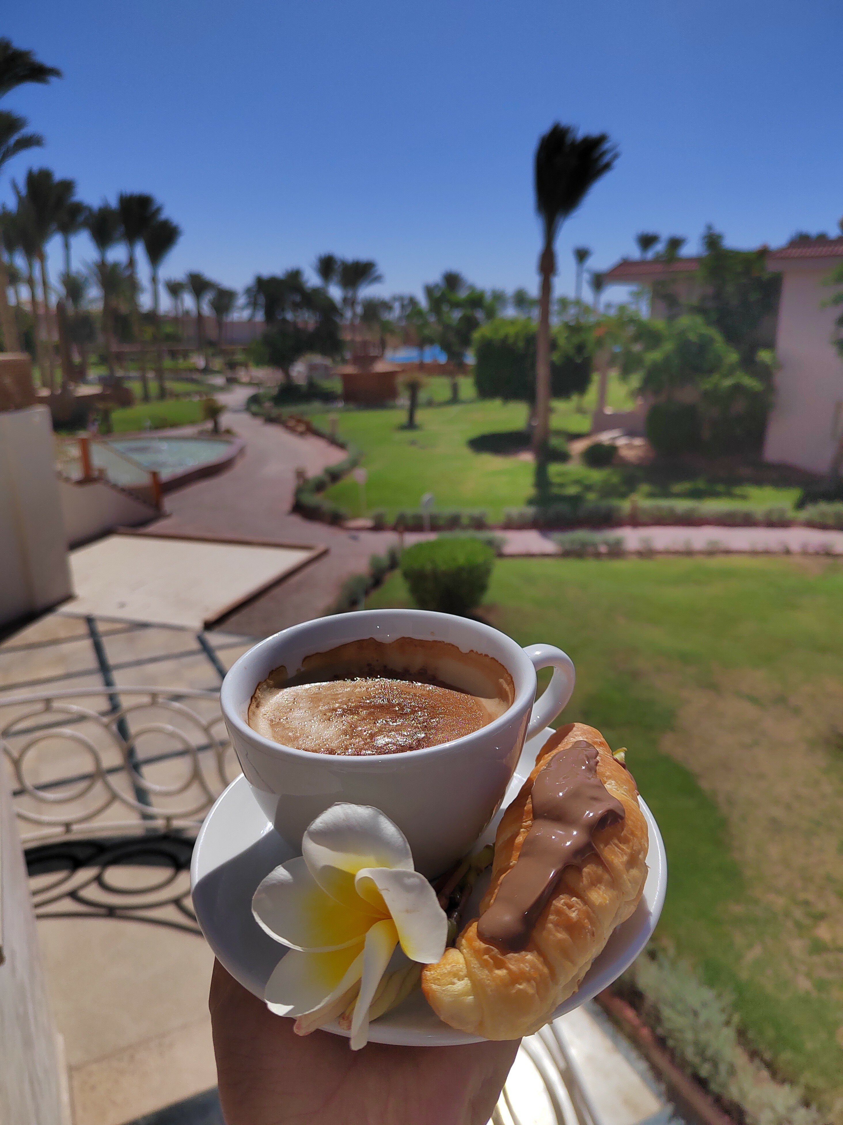 Фото Parrotel Beach Resort