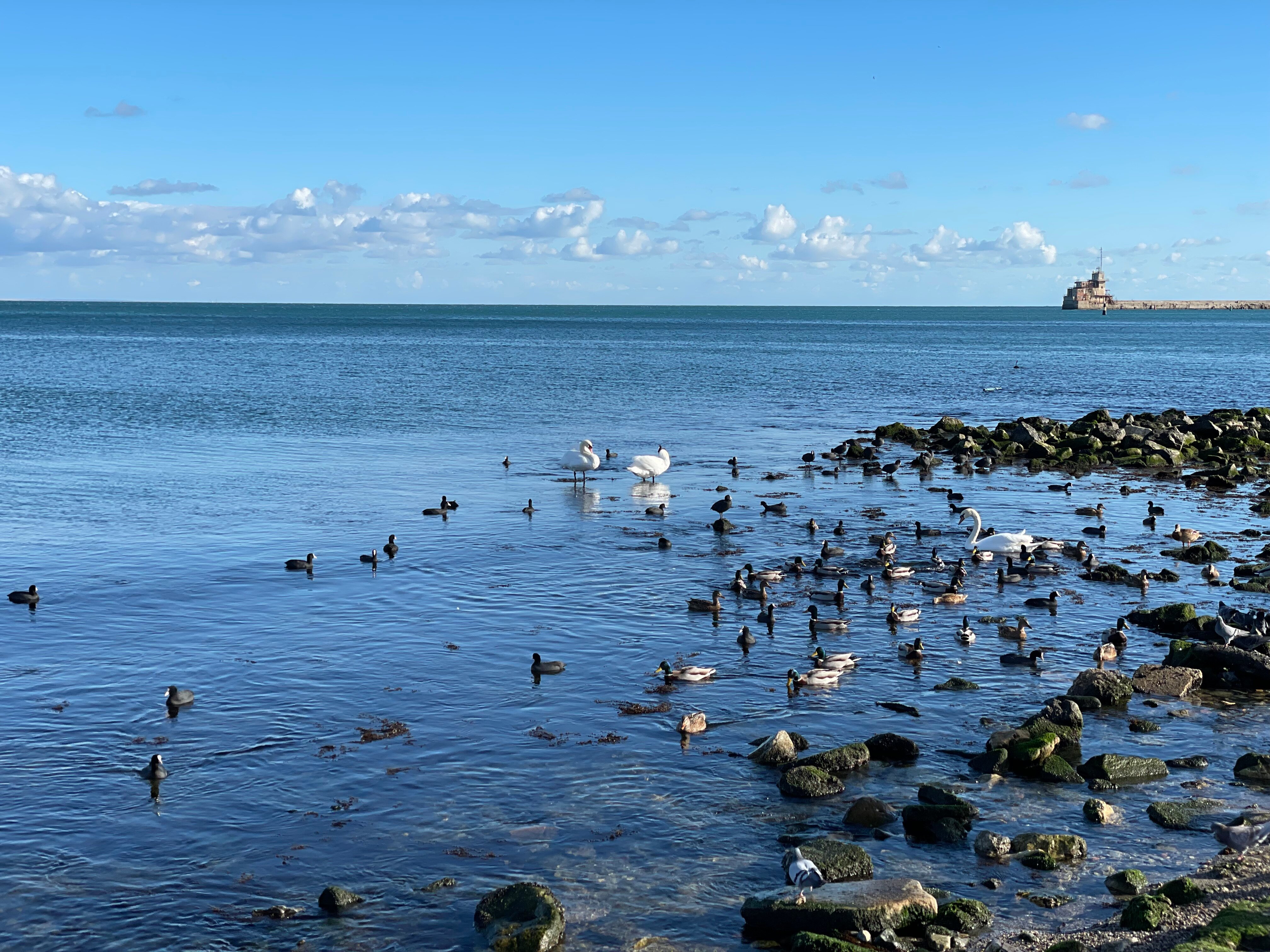 Фото Мари-Мар