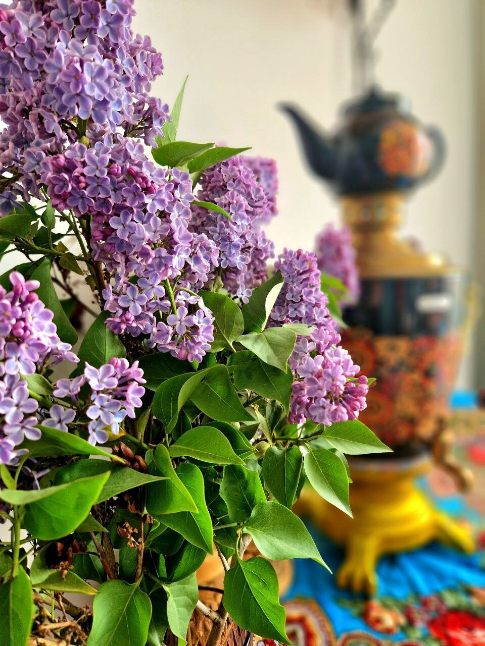 Фото У Лукоморья