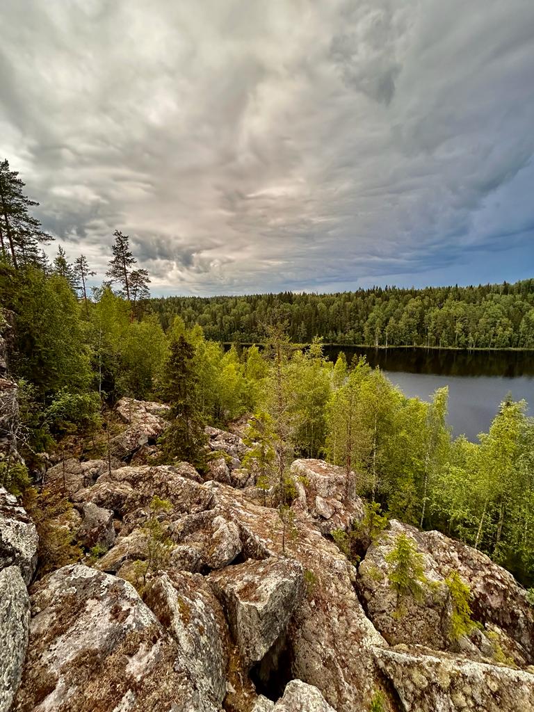 Фото Котопельто