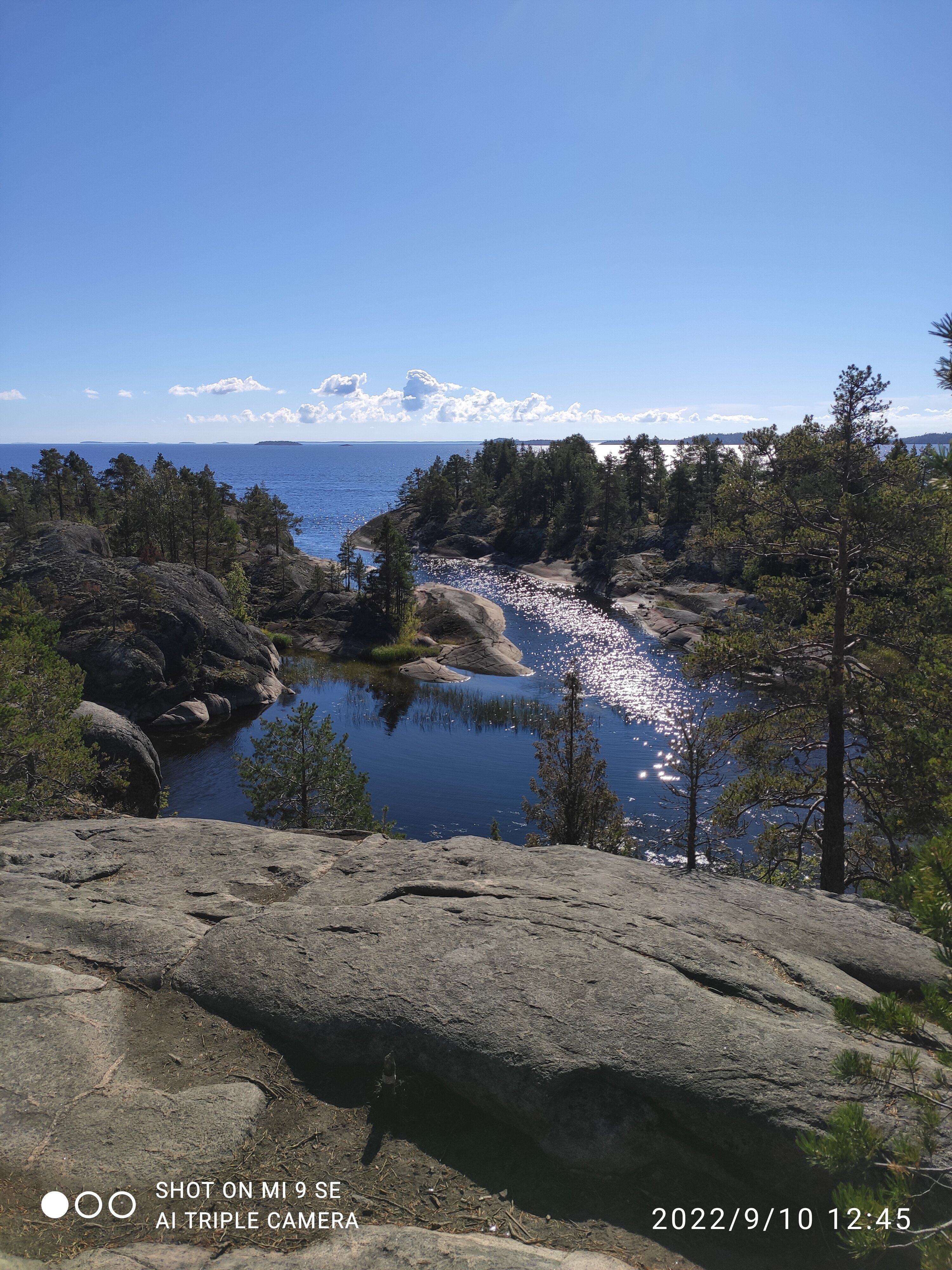 Фото Коттедж Берег у леса