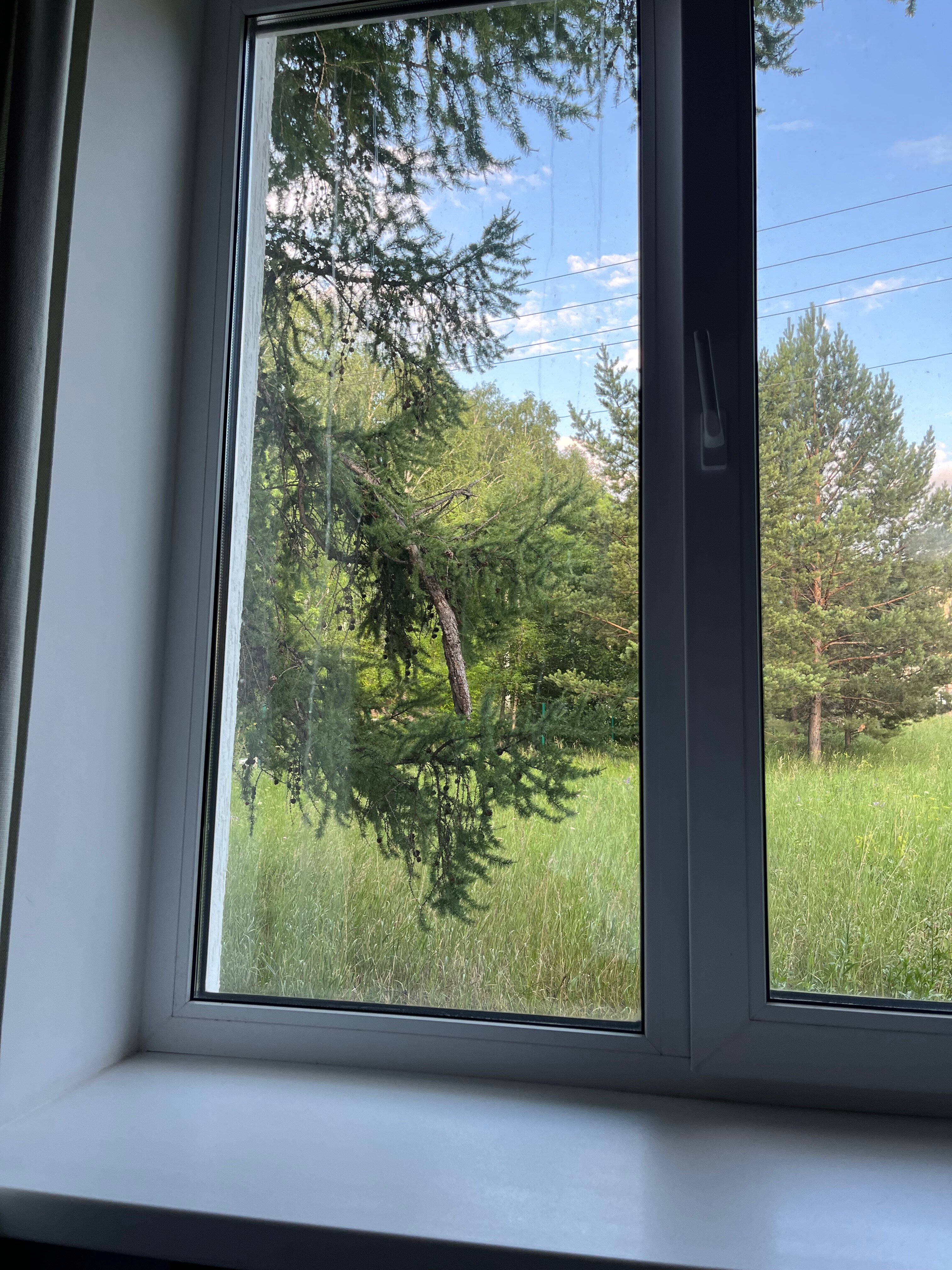 Фото Орленок