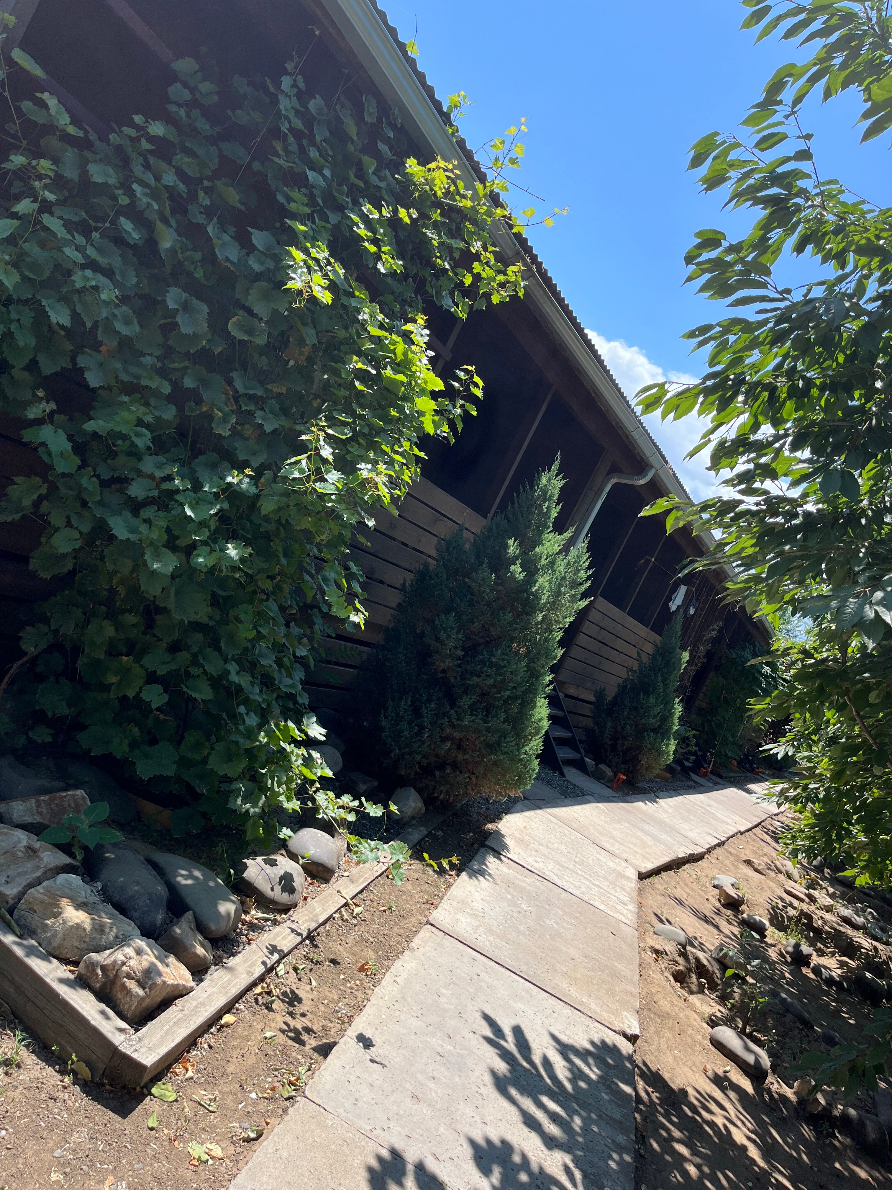 Фото Рыболовная база Оазис