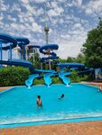 Tashkent Aquapark (Amir Temur Avenue, 107) ، حديقة مائية