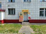 Пчеловод (Putilovskaya ulitsa, 4) ، العسل وتربية النحل