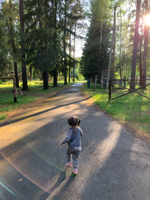 Фото Тихий Лес