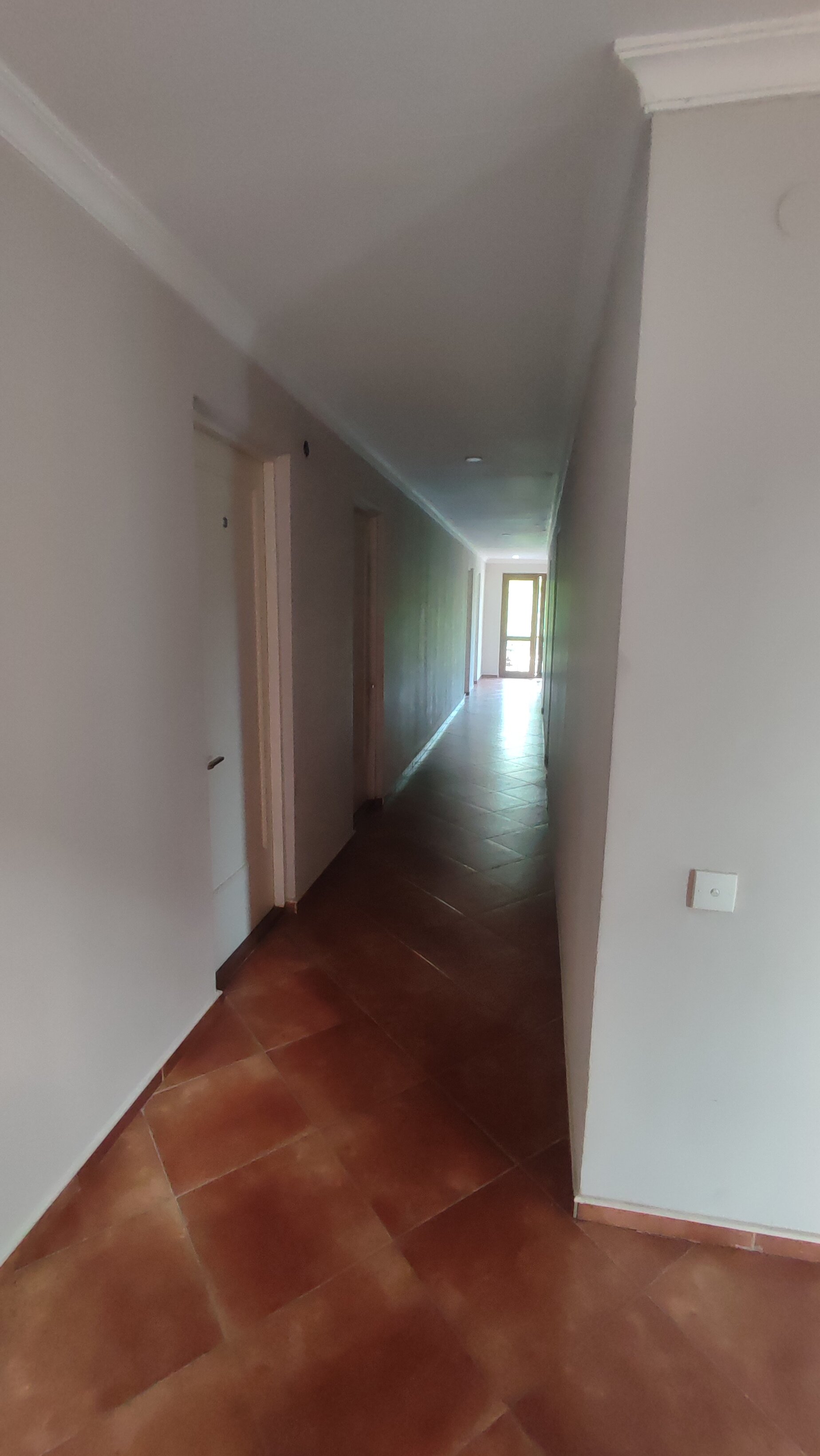 Фото 209409535709