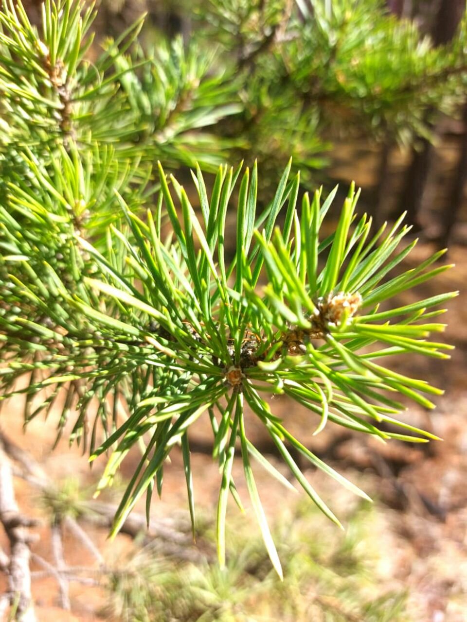 Фото Байкал Вью