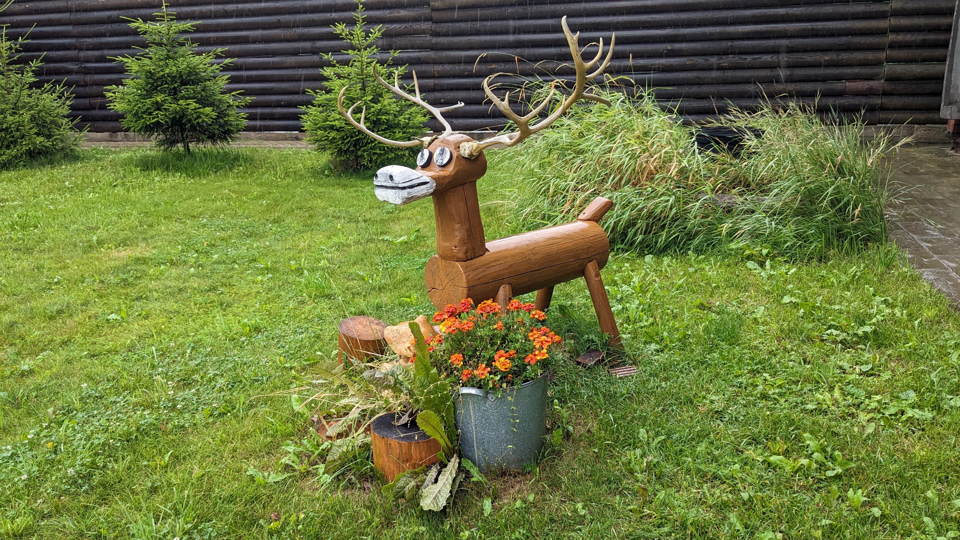 Фото Тихая Заводь