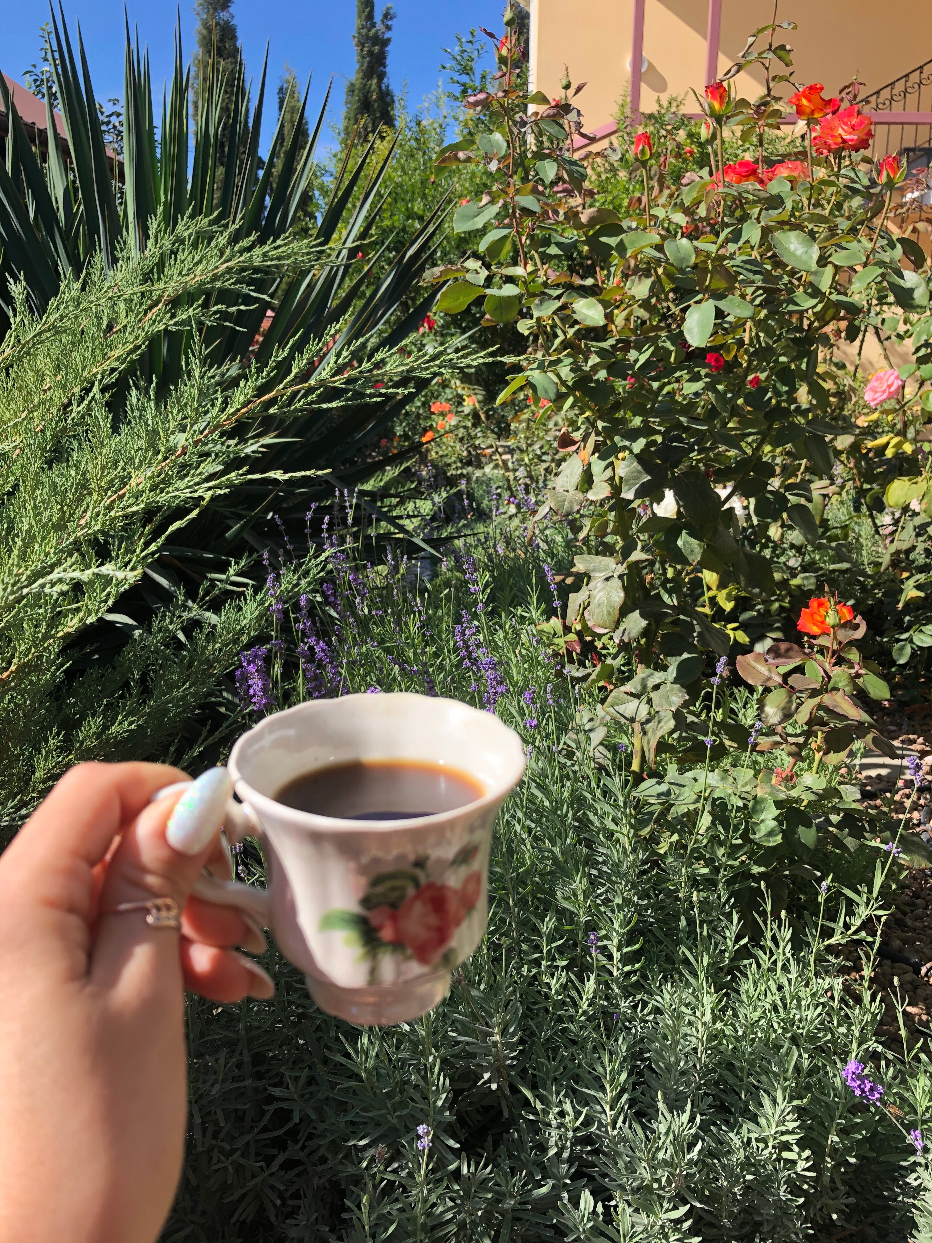 Фото Акварель