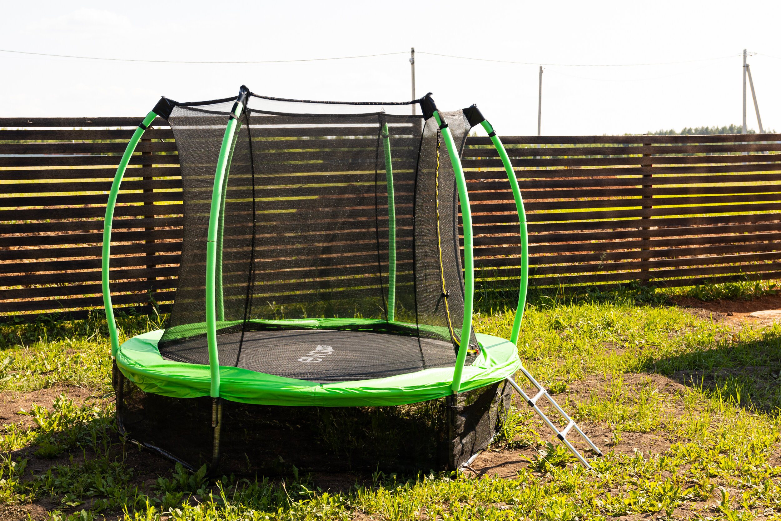 Фото На опушке