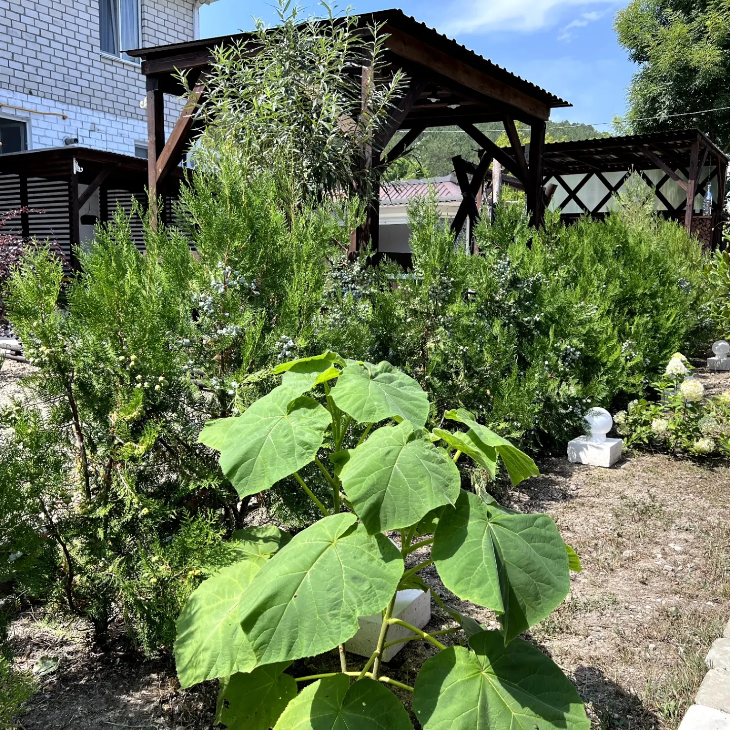 Фото Надежда