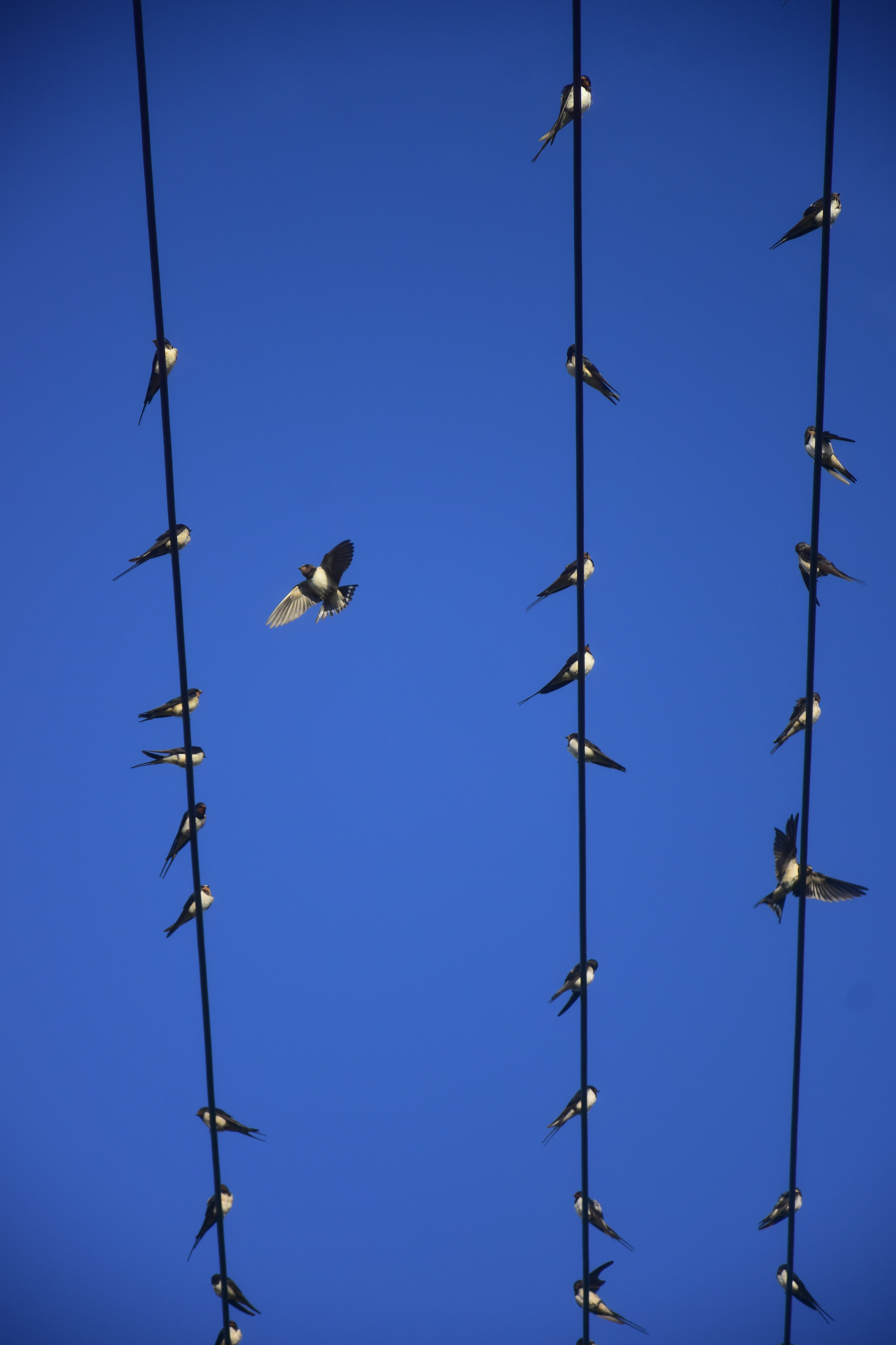 Фото Ладожский причал