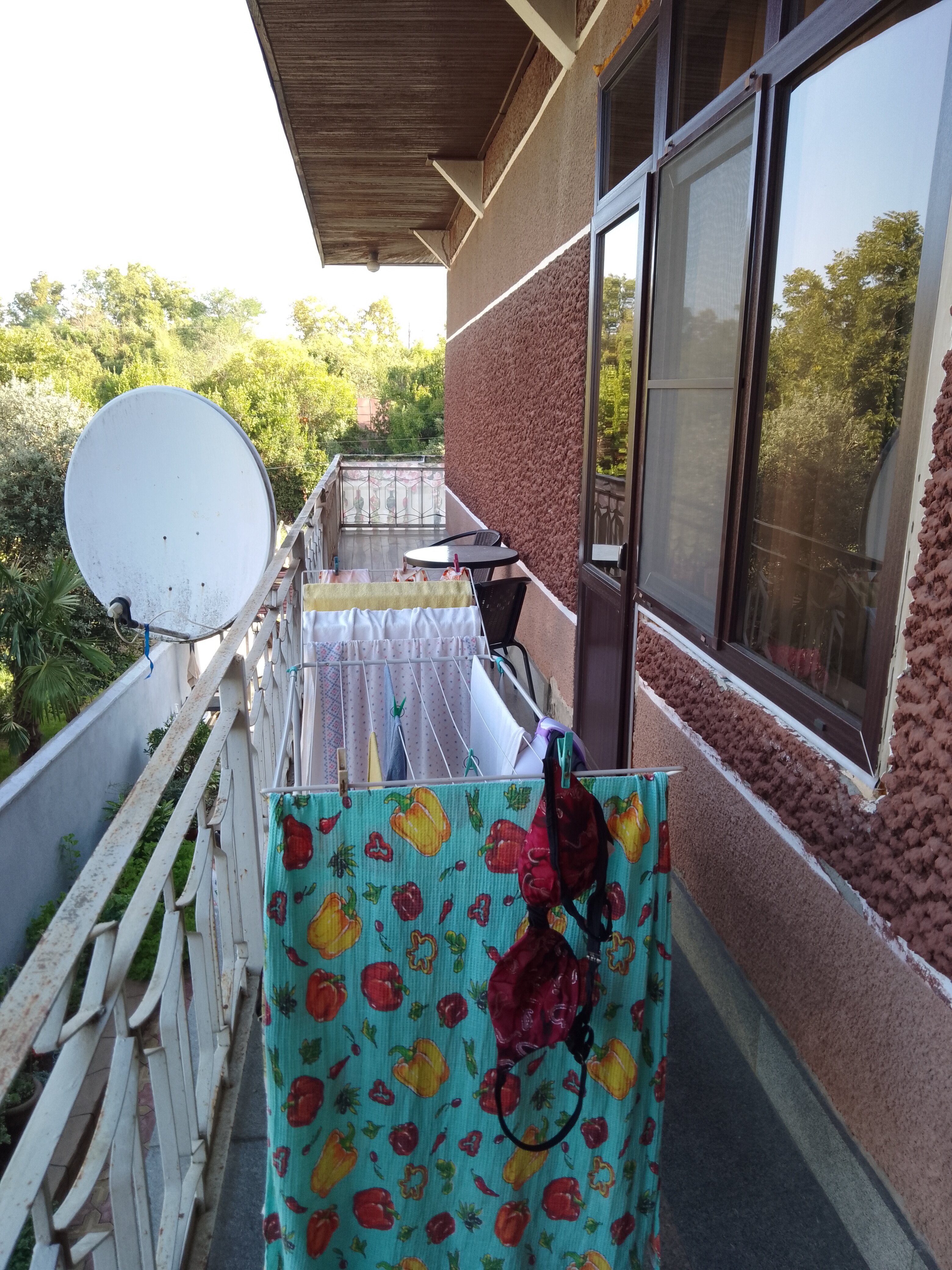 Фото Альвина