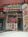 Mutlu Petshop (Bursa, Yıldırım, Teyyareci Mehmet Ali Cad., 299B), tienda de animales